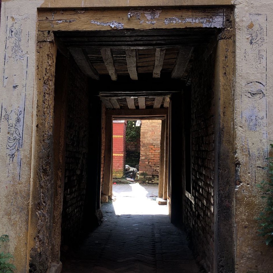 A dog sits in a spot of sunlight beyond a shadowy wooden door into an alley
